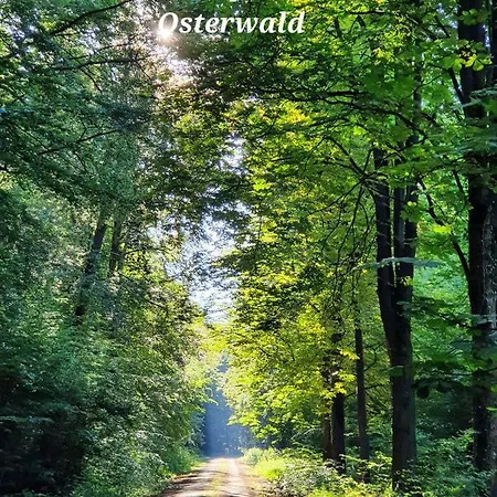 Kansteinblick Weserbergland Salzhemmendorf Zewnętrze zdjęcie